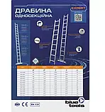 Драбина опорна односекційна BLUETOOLS Expert (12 щаблів) (160-9056), фото 3