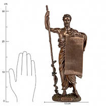 Статуетка Гіпорат урочистість Veronese, Італія 33*15*8 см, полістоун (76078A4), фото 2