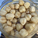 Фундук у меду акації 1,0 л (1200 грам), фото 4