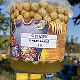 Фундук у меду акації 1,0 л (1200 грам), фото 6