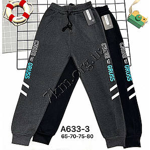 Штани дитячі термо для хлопчиків 65-70-75-80 см. "Gruss" Золото Оптом C633-3