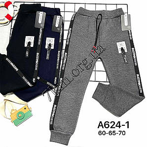 Штани дитячі на хутрі для хлопчиків 5-8 років "Btanam" Золото Оптом A624-1