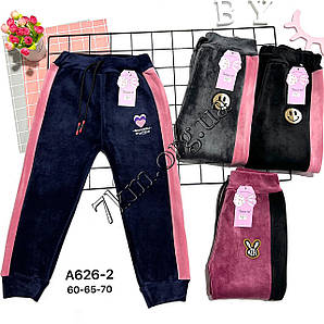 Штани дитячі велюр на хутрі для дівчаток 5-8 років Золото Оптом A626-2