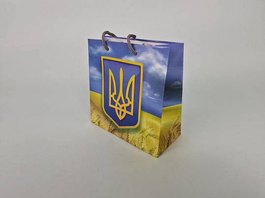 Пакет подарунковий під чашку 16/16/8 (артЧ-256) (12 шт.), фото 1