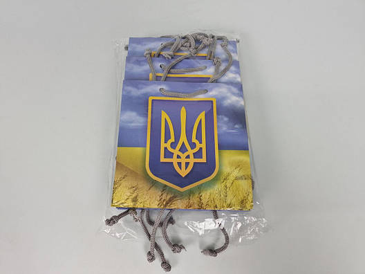 Пакет подарунковий під чашку 16/16/8 (артЧ-256) (12 шт.), фото 3