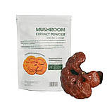 Рейші (екстракт), фото 4