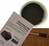 Чага (екстракт), фото 2