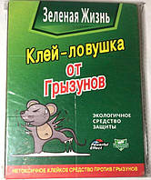 Клейова пастка-книжка для мишей розмiр 12х17.