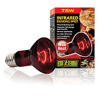 Лампа Exo Terra Infrared Basking Spot для террариумных животных, инфракрасная, 75 W, E27 (для обогрева) l