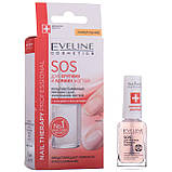 Засіб для крихких і ламких нігтів Eveline SOS Cosmetics Nail Therapy Professional 12 мл, фото 3