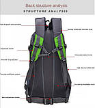 Рюкзак туристичний спортивний чоловічий на 45 л. Рюкзак трекінговий дорожній водонепроникний місткий Фіолетовий, фото 5