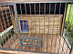 Вольєр для собаки, фото 7