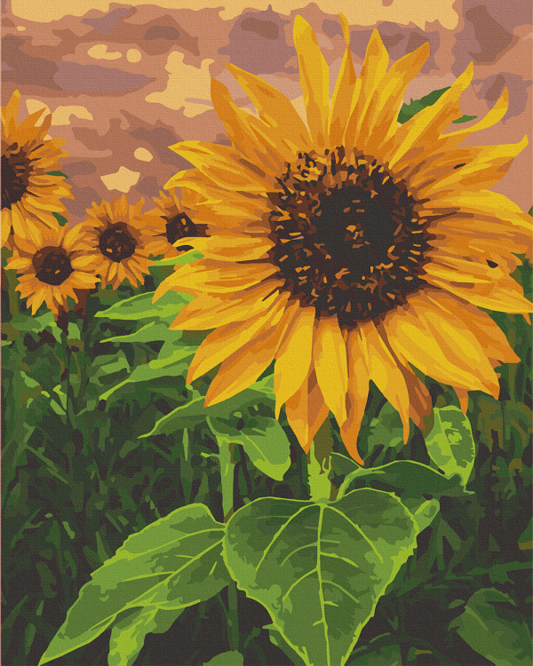 Картина за номерами Яскравий соняшник 40*50 см ArtCraft 13120-AC