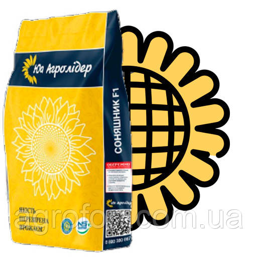 Насіння соняшнику Таурус під Євролайтинг Насіння соняшнику Таурус під Євролайтинг