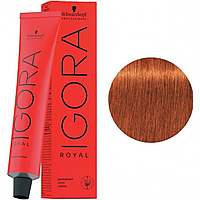 7-77 Среднерусый медный экстра Igora Royal Schwarzkopf Professional 60 мл