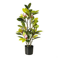 Штучна рослина Engard Magnolia, 70 см