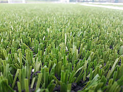 Stemgrass 40-17, фото 6