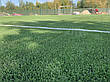 Stemgrass 40-17, фото 8