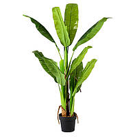 Штучна рослина Engard Banana Tree, 140 см