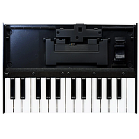 Портативна клавіатура для модулів ROLAND K25m