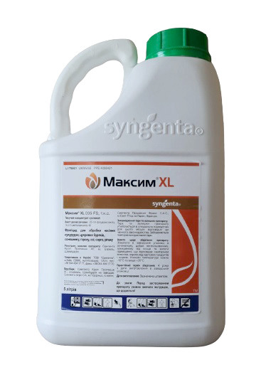 Максим XL 035 FS 5л, протруйник фунгіцидний, флудиоксоніл, металаксил-М, Syngenta (Сингента)