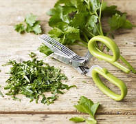 Кухонные ножницы для зелени