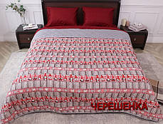 Новорічна Євромаксі стьобане покривало 240х215 см байка / мікрофібра червоне із сірим, фото 2