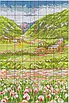 Набір для вишивання за нанесеною на канву схемою "Poppy fields 2". AIDA 14CT printed, 21*45 см, фото 4