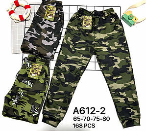 Штани дитячі термо для хлопчиків 65-70-75-80 см. Золото Оптом C612-2