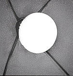 Студійне LED-світло Prolighting 50х70 см LED-лампи 85 вт 3200- 5500 K Ra95+ з пультом, фото 6