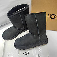 Женские угги черные классик ugg Australia 37-40р25см