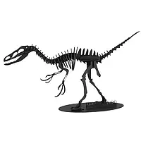 3D модель Дромеозавр Dromaeosaur Fridolin