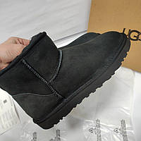 Чоловічі уггі замш ugg Australia 41-45р28см