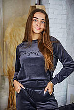 Жіночий велюровий спортивний костюм костюм р. S,M,L,XL, фото 5