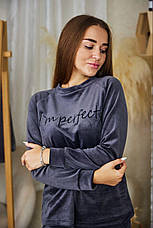 Жіночий велюровий спортивний костюм костюм р. S,M,L,XL, фото 3