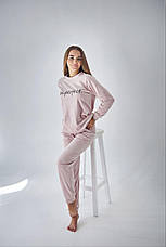 Жіночий велюровий спортивний костюм костюм р. S,M,L,XL, фото 3