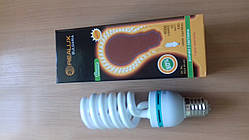 Лампа REALUX Spiral (ES-4)  65W E40 6400k спираль