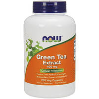 Зеленый чай NOW Foods Green Tea Extract 400 mg 250 Veg Caps BF, код: 7518387