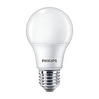 Светодиодная лампа PHILIPS Ecohome LED Bulb 9W E27 865 A60 RCA (929002299117)