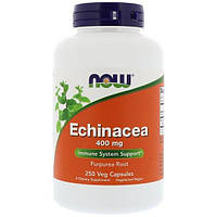 Эхинацея NOW Foods Echinacea 400 mg 250 Veg Caps CT, код: 7518342