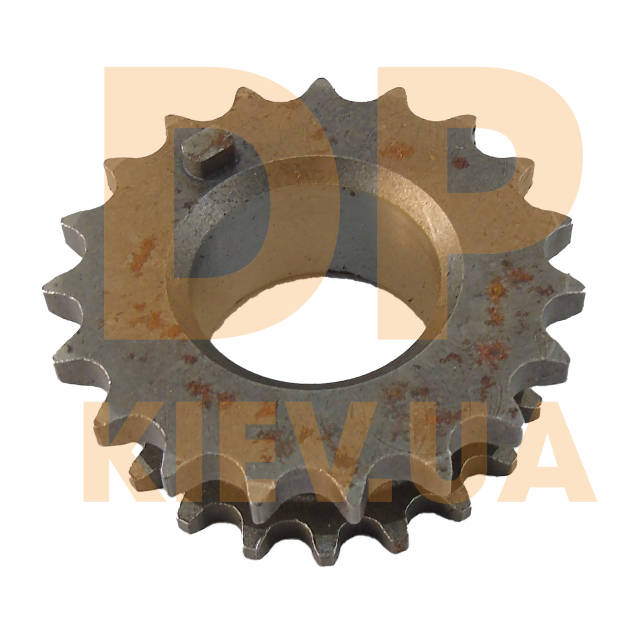 2.3.6番 498949738_w1280_h640_shesterny