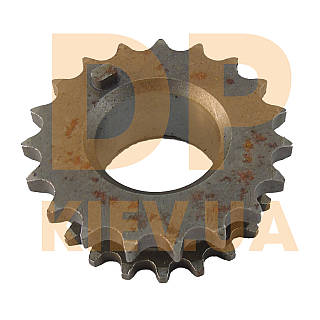 Шестерня коленвала FORD TRANSIT 1991-2006 (DOHC) (1020835