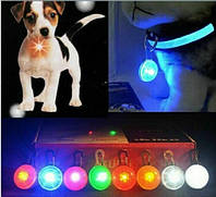 Светодиодный LED фонарик для собак и котов на ошейник брелок фонарик для ключей, сумок, рюкзаков