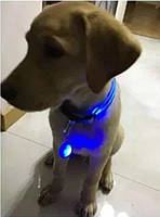 Светодиодный LED фонарик для собак и котов на ошейник брелок фонарик для ключей, сумок, рюкзаков Синий