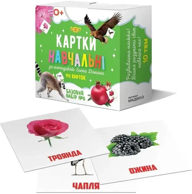 Картки навчальні за методикою Глена Домана "Базовий набір №6" (МКД0013), фото 3