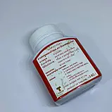 Капсули із Сафлором для зниження рівня холестерину 100 капсул, фото 2