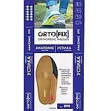Ортопедичні устілки при плоскостопості Ortofix 895 Anatomic, фото 2