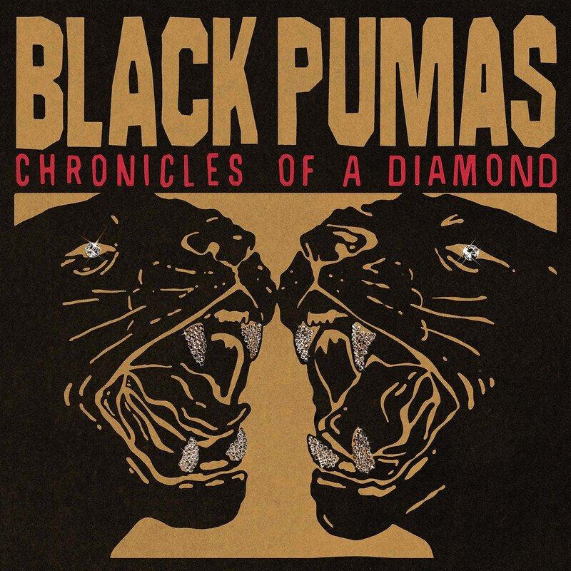 Black Pumas - Chronicles of a Diamond (Clear vinyl)