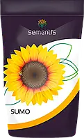 Насіння соняшнику Oleum (A-G) технологія Sumo (XL) Sementis Україна