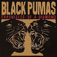 Black Pumas - Chronicles of a Diamond (Cloudy Clear/Red Vinyl) (Indies)